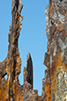 Patina 21
